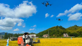 又是一年好“丰”景！肇庆开启全新的“打开方式”→