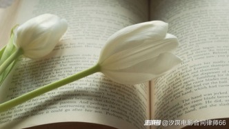 影片合同中未約定上映時間，當事人如何解除合同？