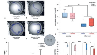 當(dāng)心！忽略性別與實驗時間，可能讓你的動物研究前功盡棄