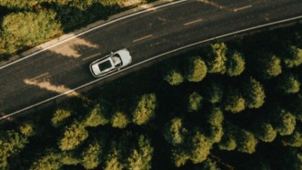 贵阳藏了个“暮光森林”，暮秋初冬美成童话！速来打卡！ 