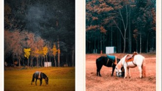 貴陽冬日最神秘的林場！綠野仙蹤的盡頭，藏著一個天空謎題。