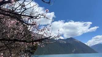 从历次牛市的新增开户数变化，判断本轮A股牛市还能走多远