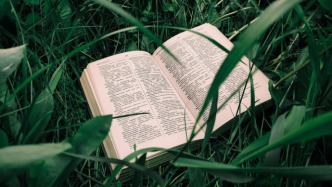 编剧跑了,影视公司怎么办?权利期限很关键