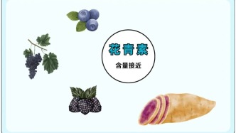 2 块钱的红薯，真不如 4 块的紫薯吗？