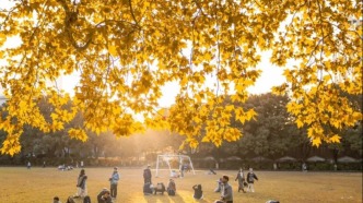 長沙人自己的“梧桐大道”！小眾景美好出片??！