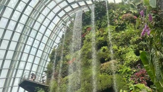 法治筑底·傳播賦能:“花園城市”的雙輪驅(qū)動(dòng)密碼