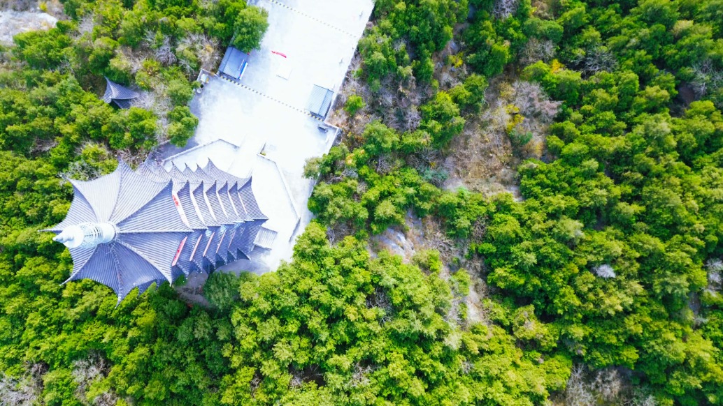 嶧州印象 | 冬日晴暖,青檀禪遠(yuǎn)