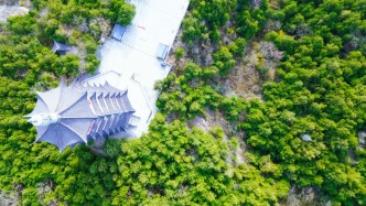 嶧州印象 | 冬日晴暖，青檀禪遠