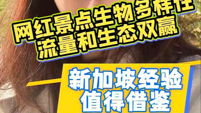 為打卡機場瀑布來了新加坡