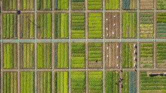 QQ農(nóng)場照進(jìn)高淳