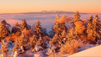 在朋友圈曬雪景？這次，曬點(diǎn)不一樣的