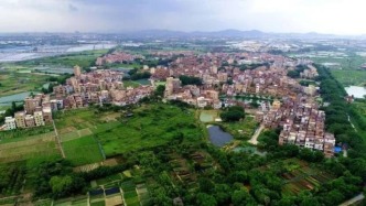 “強(qiáng)村公司”激活獅山大欖鄉(xiāng)村振興“一池春水”