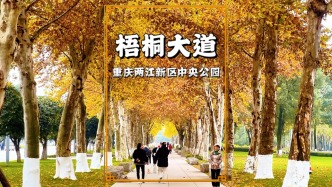 重慶有條梧桐大道，枝葉交織成天然穹頂，藏著山城最溫柔的浪漫