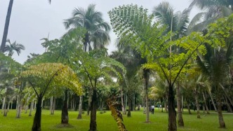 法治為基，傳播為翼，云南繪就生物多樣性保護新圖景