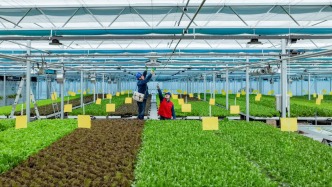 电力数据解码甘肃 “三农” 发展新成效