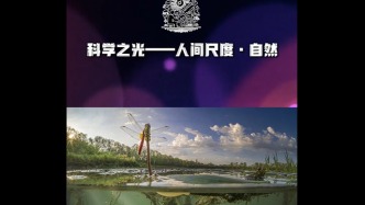 科學(xué)之光 | 人間尺度·自然（2）