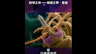 科學(xué)之光 | 微觀之界·昆蟲