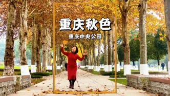 冬游重慶中央公園，五彩斑斕，美不勝收，堪稱重慶秋色天花板