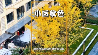 實拍重慶不知名小區(qū)，層林盡染，五彩斑斕，盡顯重慶秋色之美