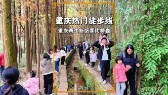 重慶最熱門的徒步線路，就在兩江新區(qū)，沿途景美如畫，游客眾多