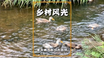 重慶周末徒步游，走進(jìn)兩江新區(qū)古路鄉(xiāng)村，領(lǐng)略山村田原之美