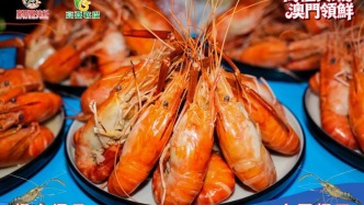 官宣“入澳”！高要“高桂大虾”首登濠江，掀起极致鲜味！