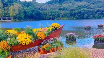 最美的旅游城市公園的花草世界，太美麗了