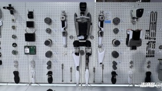 巨變2025：風(fēng)口上的具身智能