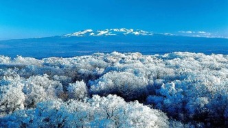 東北的冬天，除了雪花還有什么？去撫松找到滿分答案