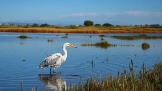滄州有什么好玩的地方，河北滄州必去6大好玩景點(diǎn)，建議收藏！