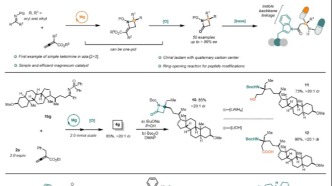蘭州大學(xué)研究團(tuán)隊在鎂催化合成領(lǐng)域取得連續(xù)進(jìn)展