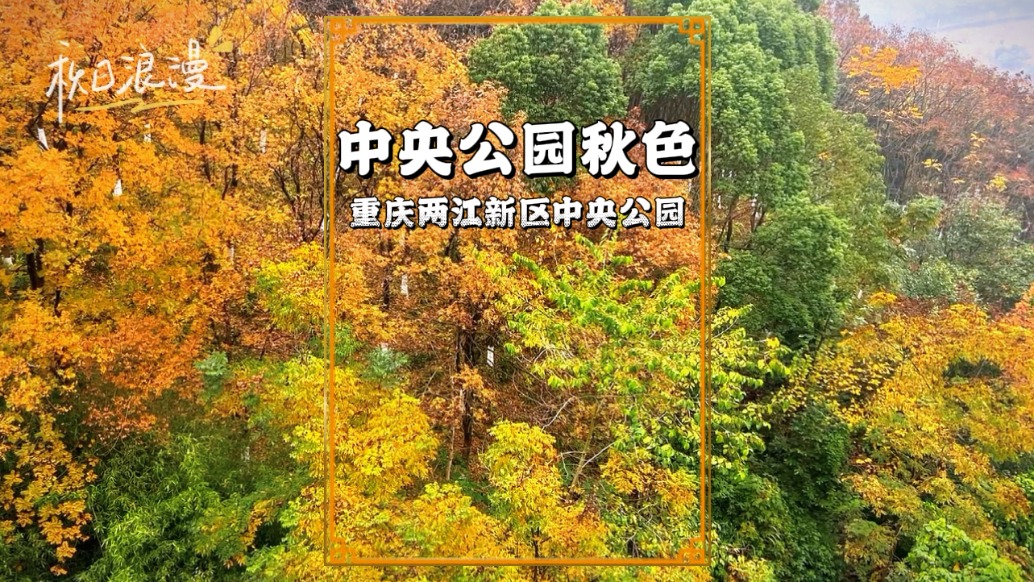 初冬時(shí)節(jié)，漫步重慶中央公園，如同走進(jìn)一幅流動(dòng)的斑斕畫(huà)卷
