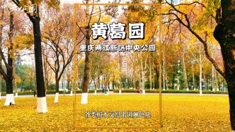 冬游重慶中央公園，漫步黃葛園，領(lǐng)略層林盡染的山城秋色