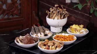 山野餐飲研究報(bào)告2025：熱度持續(xù)攀升，餐飲行業(yè)“萬物皆可山野”