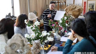 蘇州：山茶凝香迎新歲，筆墨同心繪韶華