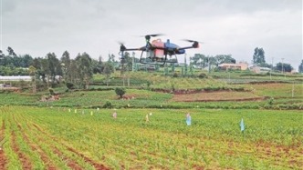 構(gòu)建系統(tǒng)解決方案，推動(dòng)農(nóng)業(yè)低空經(jīng)濟(jì)發(fā)展