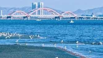 就現(xiàn)在！煙臺(tái)驚現(xiàn)一片無(wú)人島，美爆了！