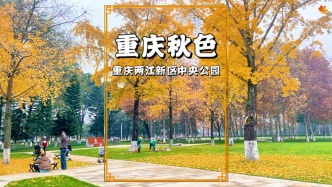 初冬時節(jié)，實拍重慶街頭的秋色，層林盡染，美不勝收