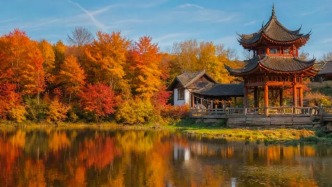 湖南“追楓”地圖更新！哪片紅對(duì)你的味？