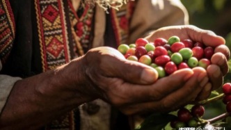 澜沧江畔的光影醅酿