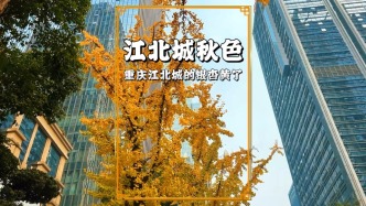 實拍重慶江北城秋色，銀杏披金，梧桐染褐，層林盡染，五彩斑斕
