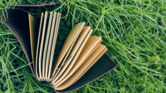 劇本轉(zhuǎn)讓合同中承諾轉(zhuǎn)讓前劇本未被使用，備案是否屬于使用？