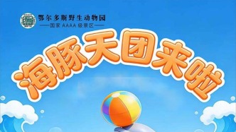 萌翻！海洋界“社交達人”入駐鄂爾多斯