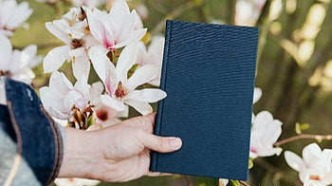 版權(quán)轉(zhuǎn)讓方違約，承諾保證的覆蓋范圍如何界定？