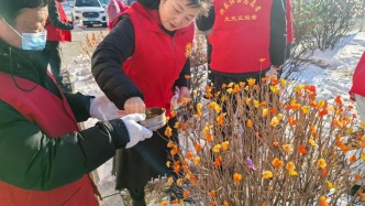 河?xùn)|路街道興盛社區(qū)黨委開展“‘四親’黨建添暖意 雪地枯樹煥新花”志愿活動(dòng)