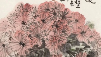 新作丨劉大石：在寫(xiě)生中，與菊相知