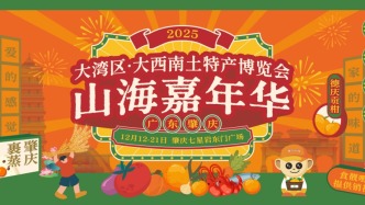 免費(fèi)入場！肇慶這場嘉年華今日開幕！還有無人機(jī)、巡游、魔術(shù)表演……