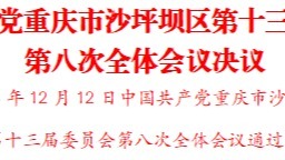 中國(guó)共產(chǎn)黨重慶市沙坪壩區(qū)第十三屆委員會(huì)第八次全體會(huì)議決議