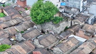 探秘温贯炮楼：深藏于高要乡间的古代军事堡垒