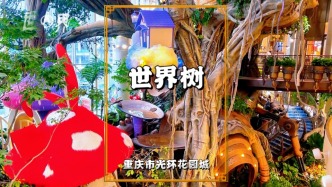 再拍重庆光环花园城的世界树，美景依旧，拥挤的游客却已经不在